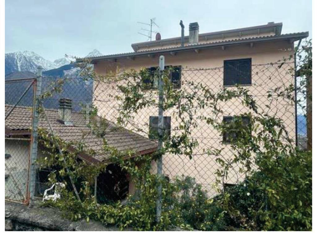 immagine annuncio 4 di 12