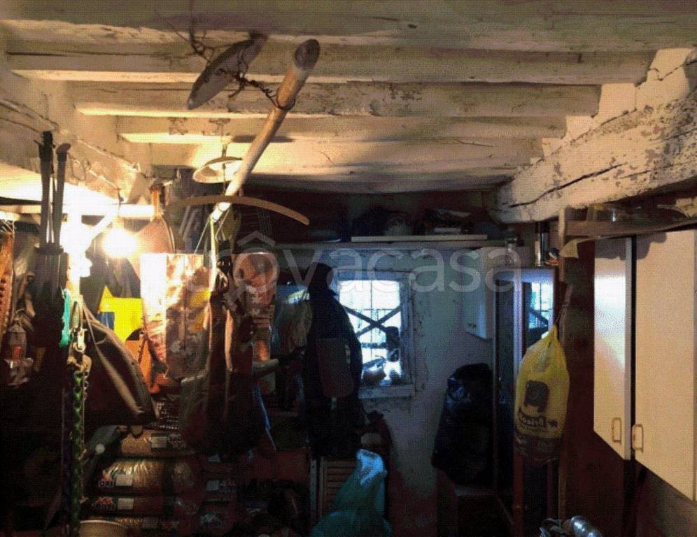 immagine annuncio 5 di 12