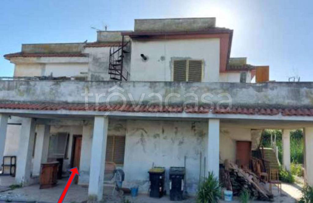 immagine annuncio 12 di 13