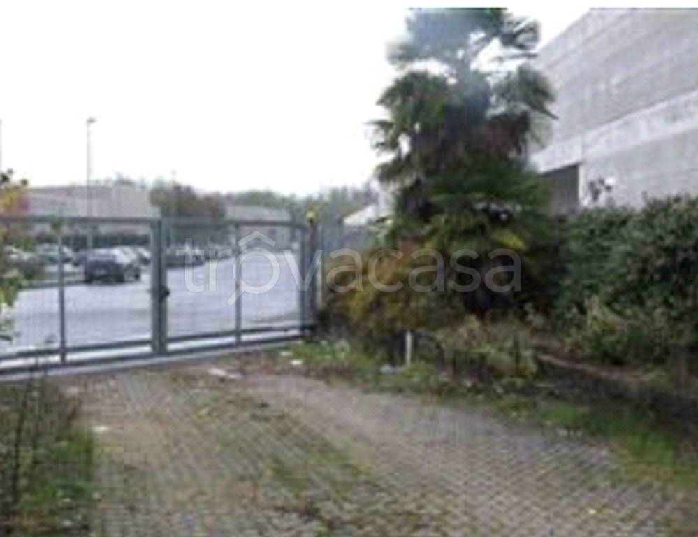 immagine annuncio 6 di 13