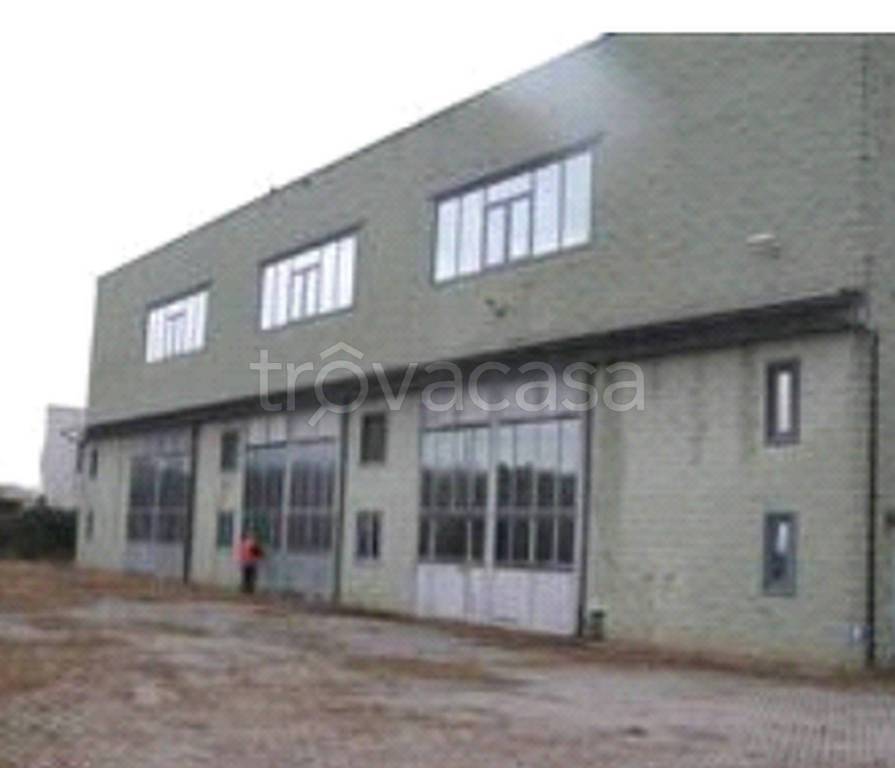 immagine annuncio 8 di 13