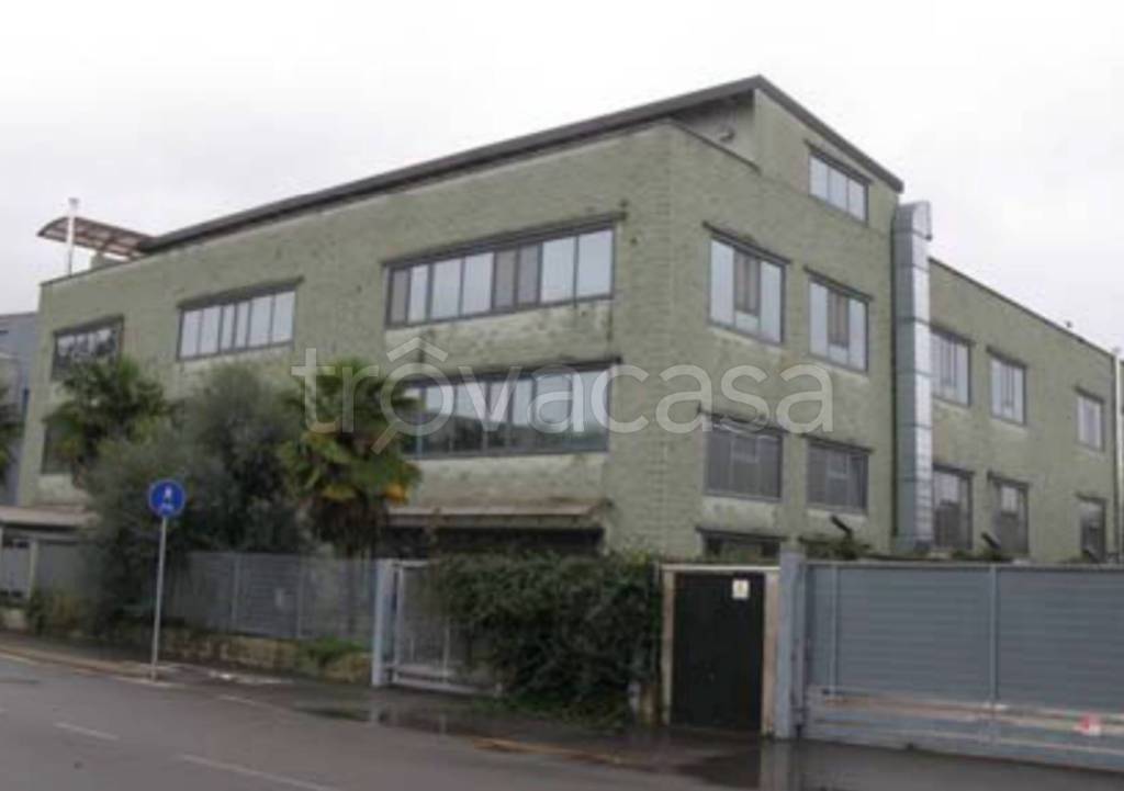 immagine annuncio 9 di 13