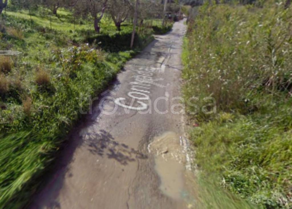 immagine annuncio 6 di 11