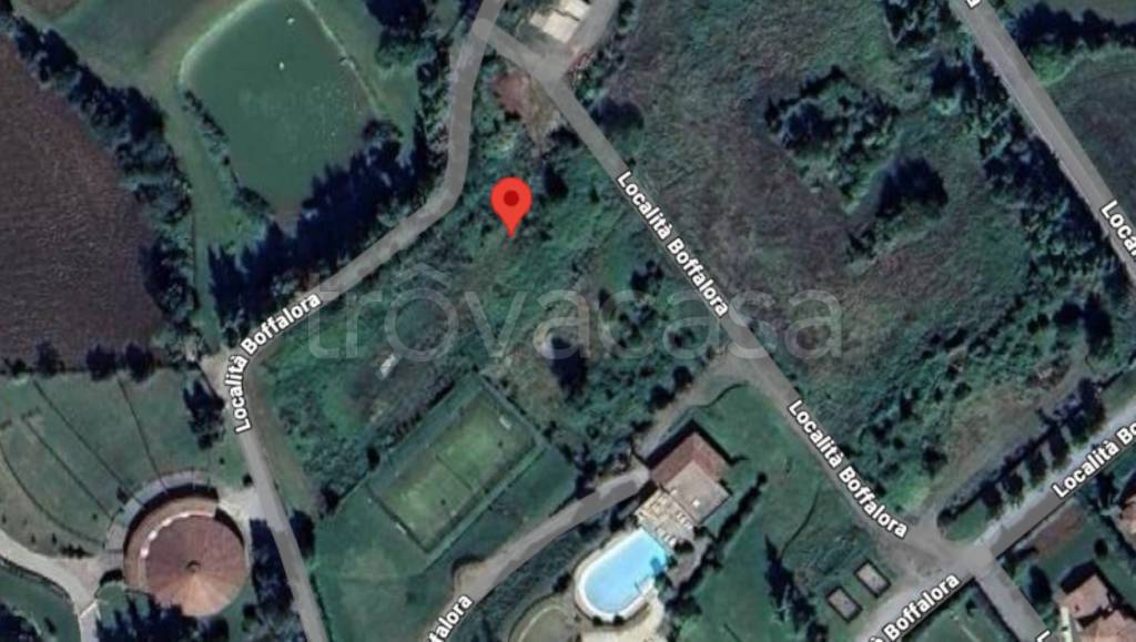 immagine annuncio 8 di 12