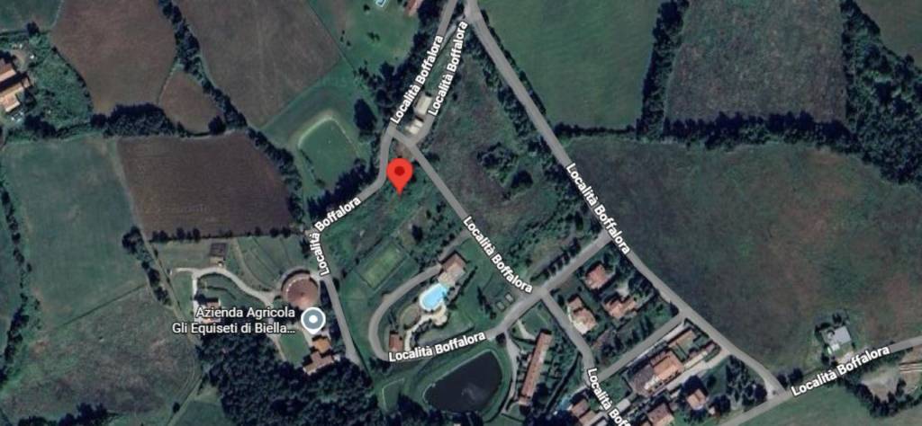 immagine annuncio 9 di 12