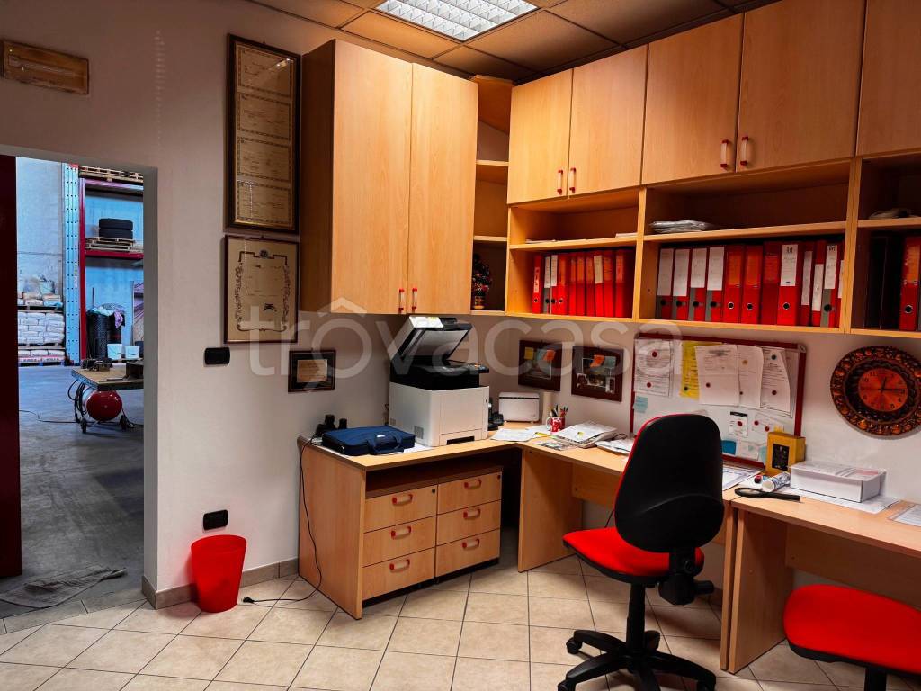 immagine annuncio 12 di 15