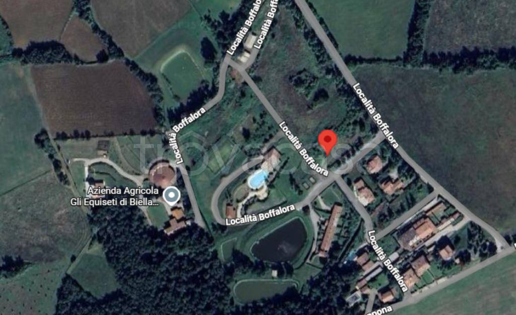 immagine annuncio 11 di 12