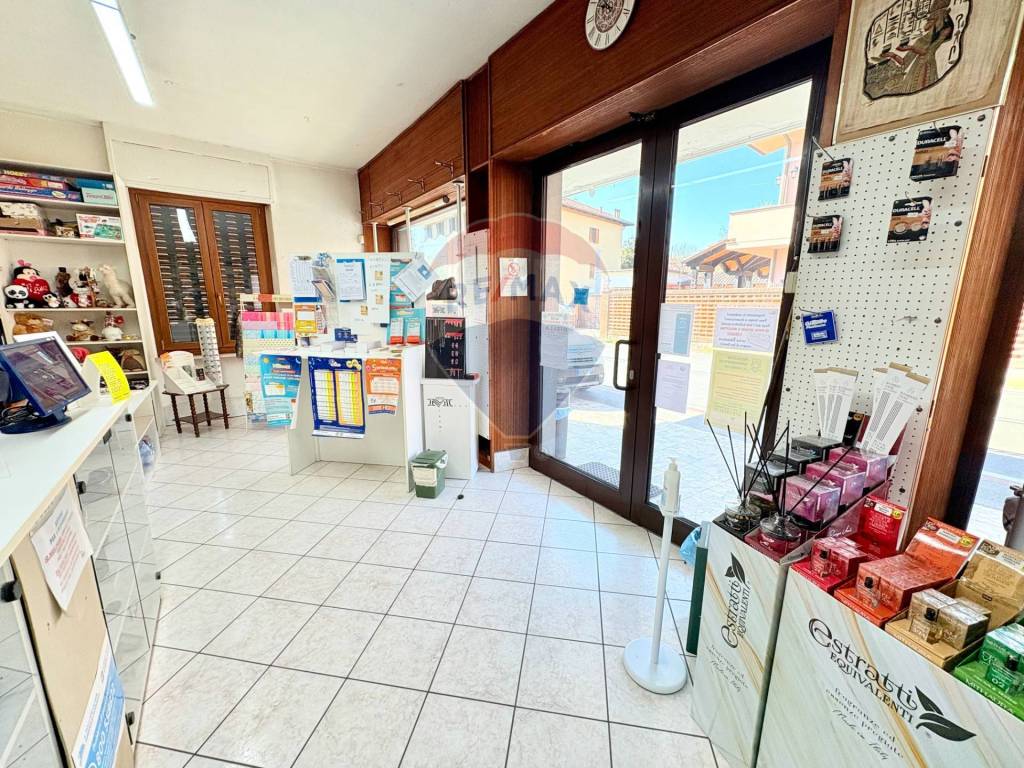 immagine annuncio 3 di 6