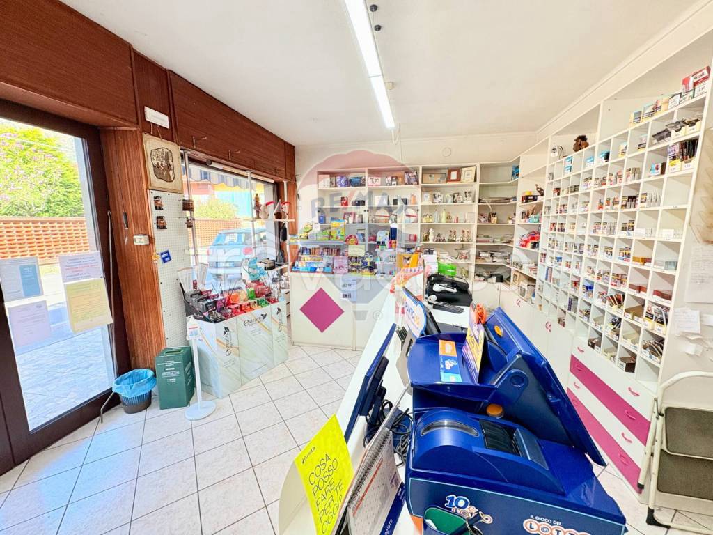 immagine annuncio 4 di 6