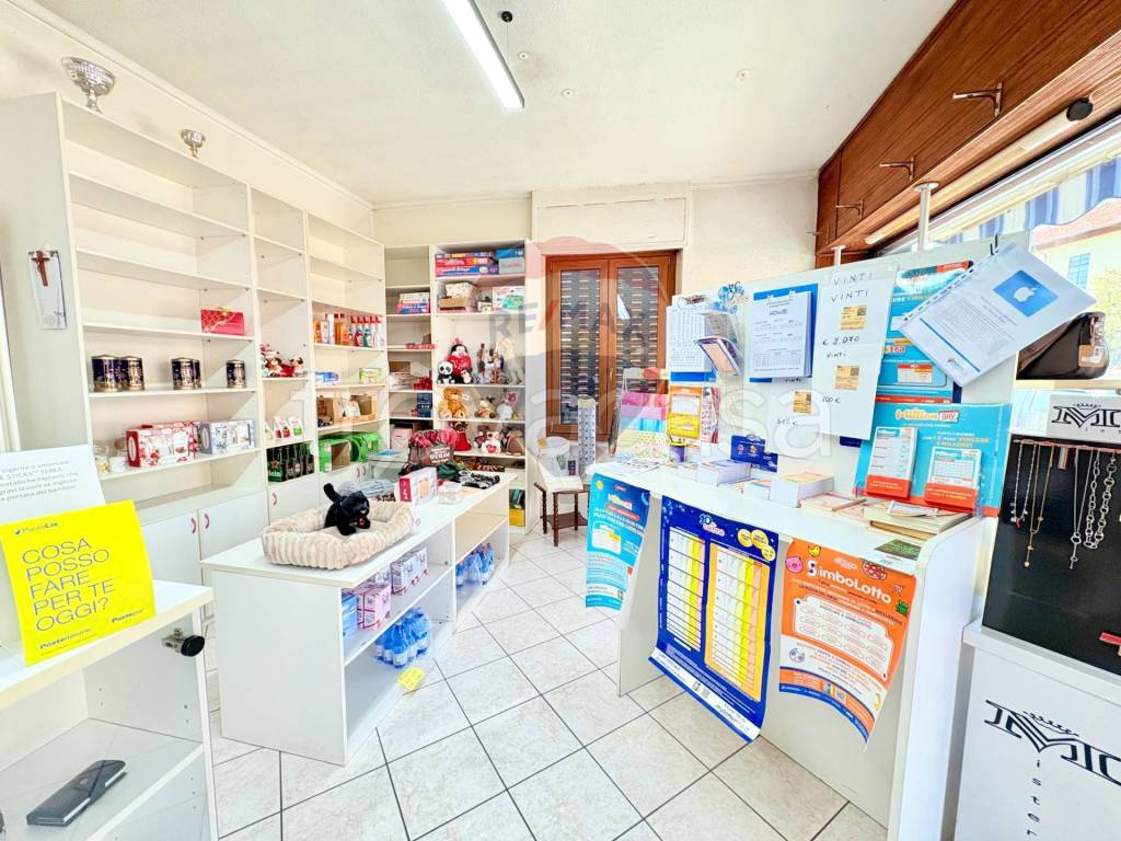 immagine annuncio 5 di 6