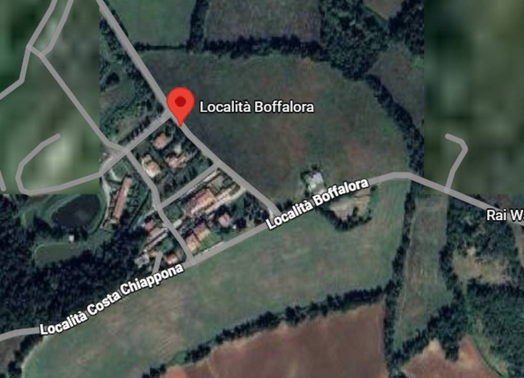 immagine annuncio 3 di 11