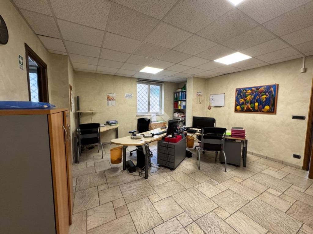 immagine annuncio 9 di 15