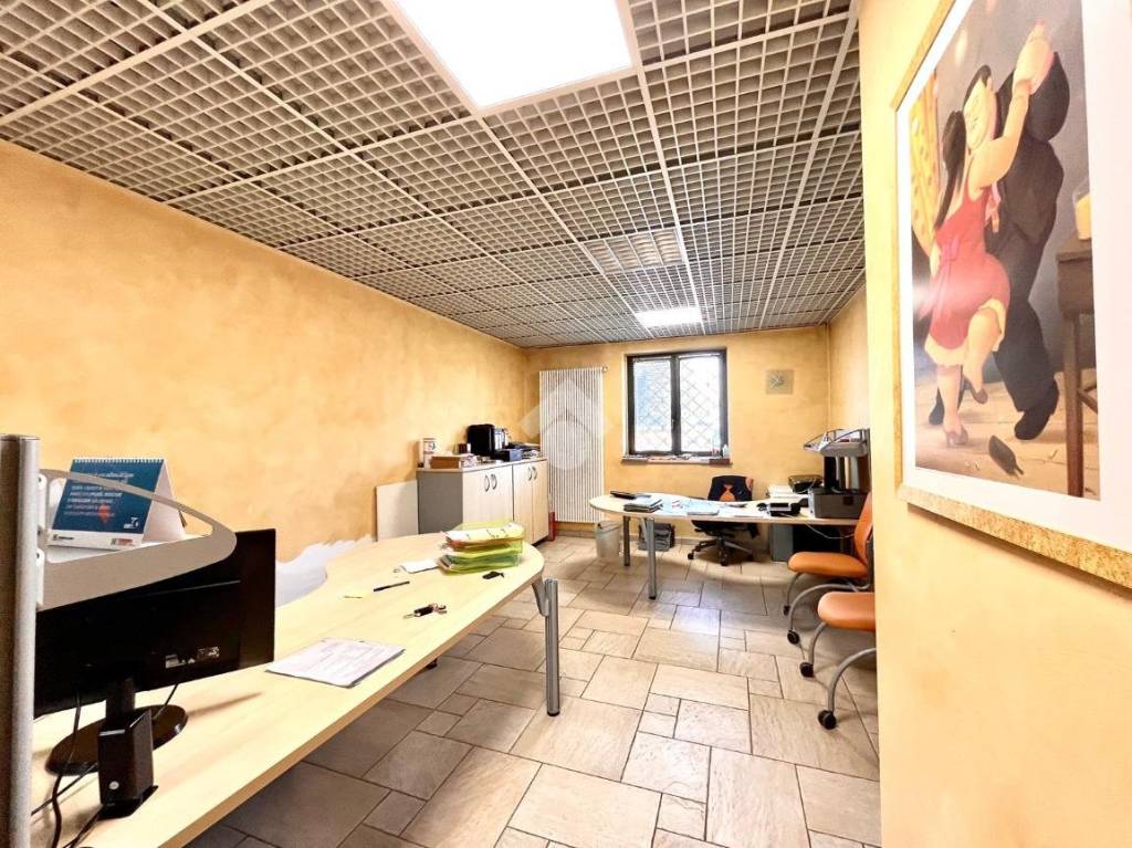 immagine annuncio 11 di 15