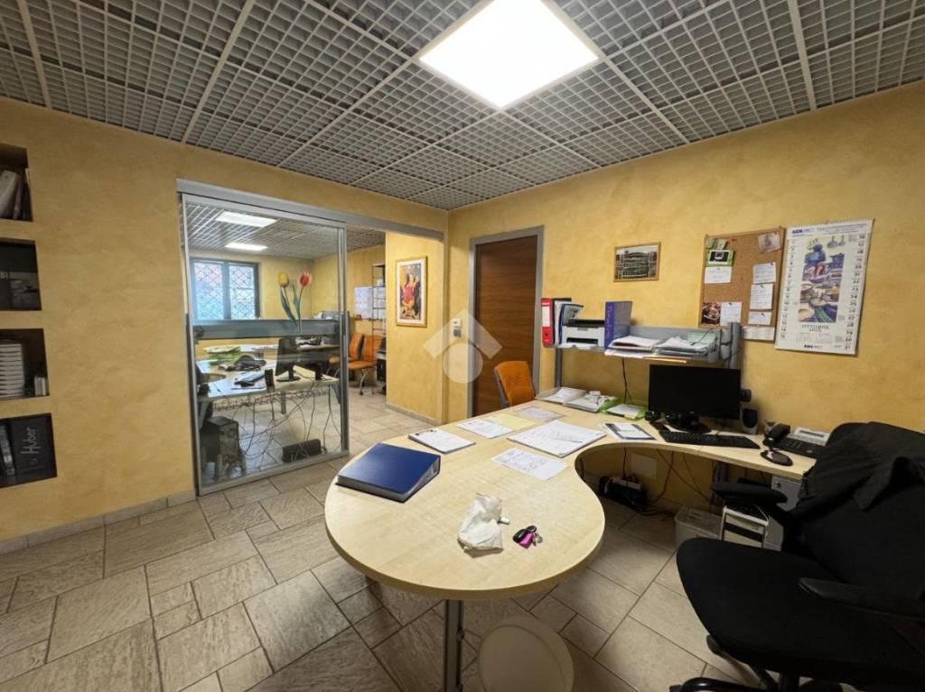 immagine annuncio 12 di 15