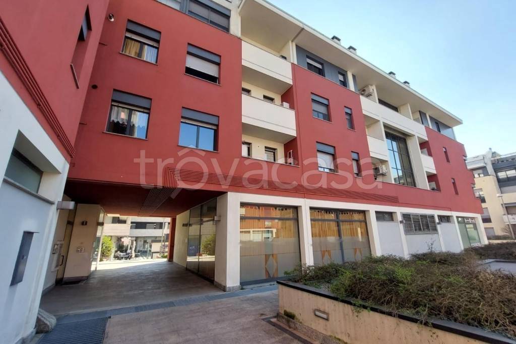 immagine annuncio 13 di 15