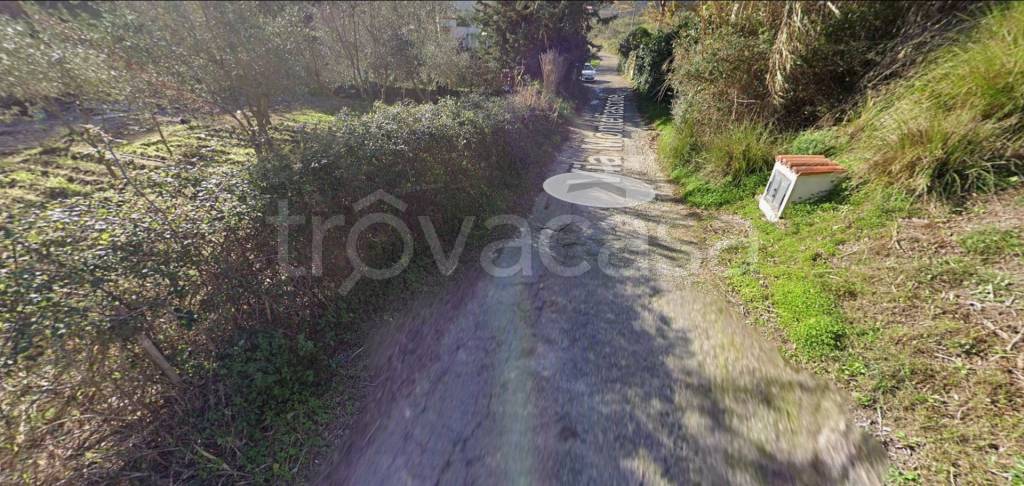 immagine annuncio 7 di 11