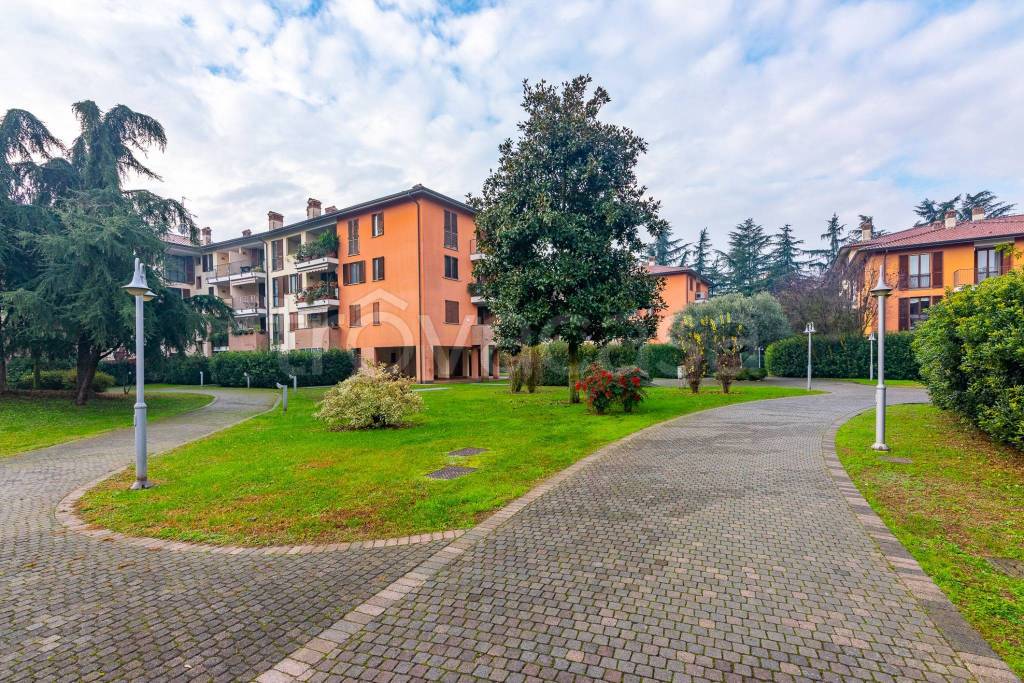 immagine annuncio 12 di 14