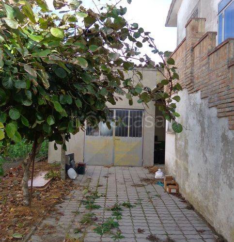 immagine annuncio 10 di 12