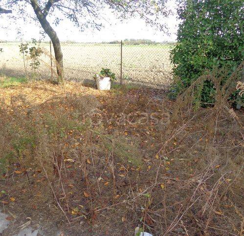 immagine annuncio 11 di 12