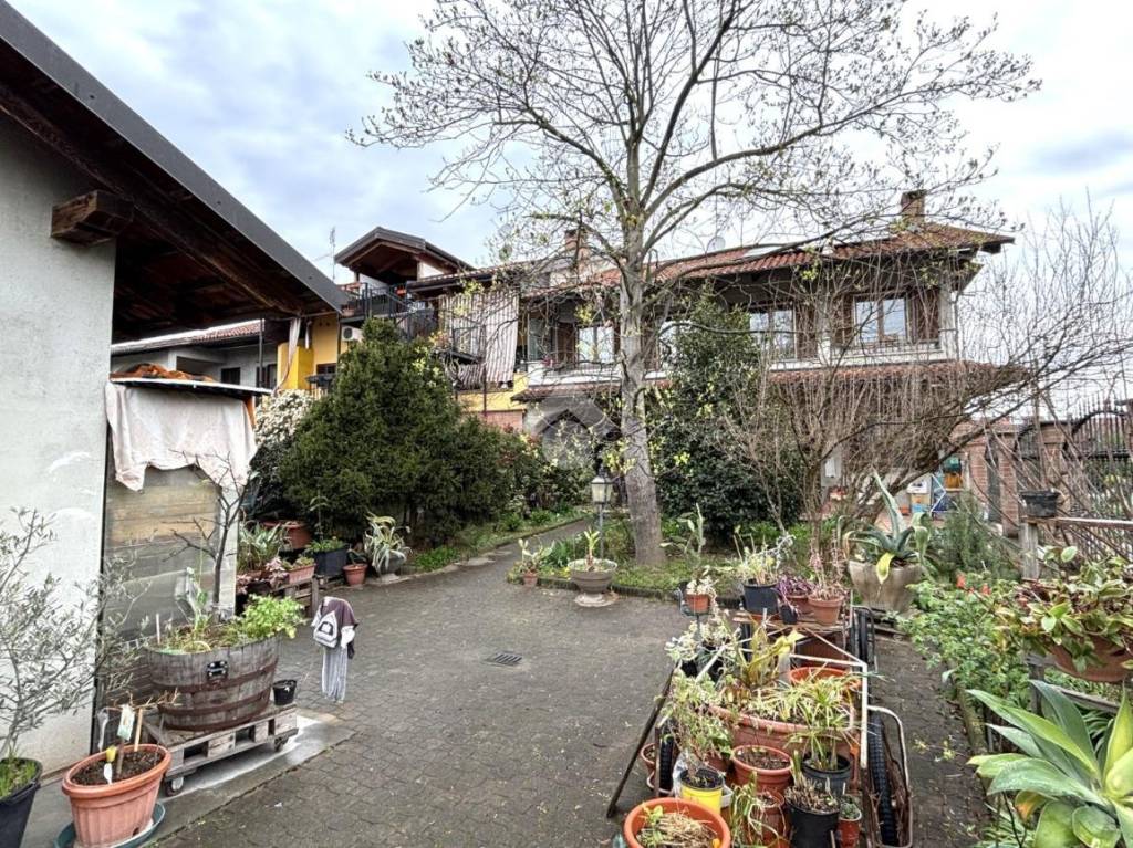 immagine annuncio 1 di 15