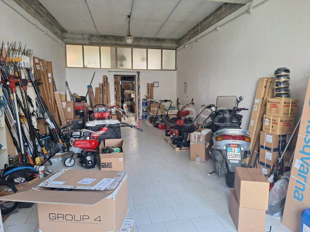 immagine annuncio 7 di 15