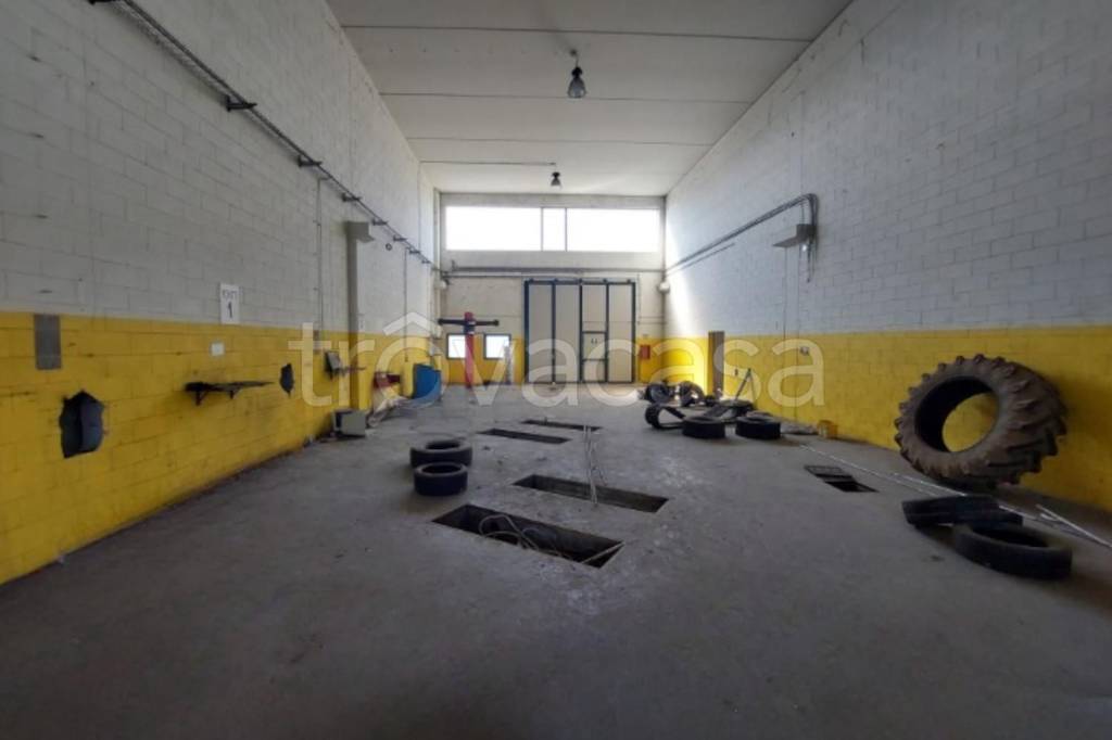 immagine annuncio 13 di 15