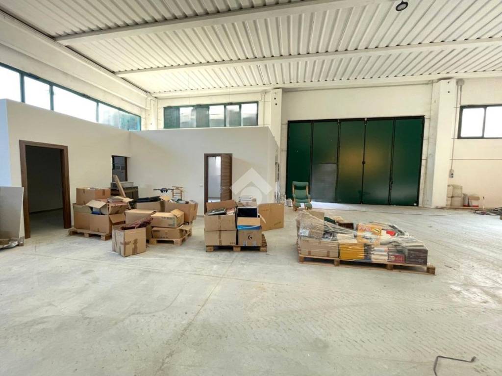 immagine annuncio 1 di 12