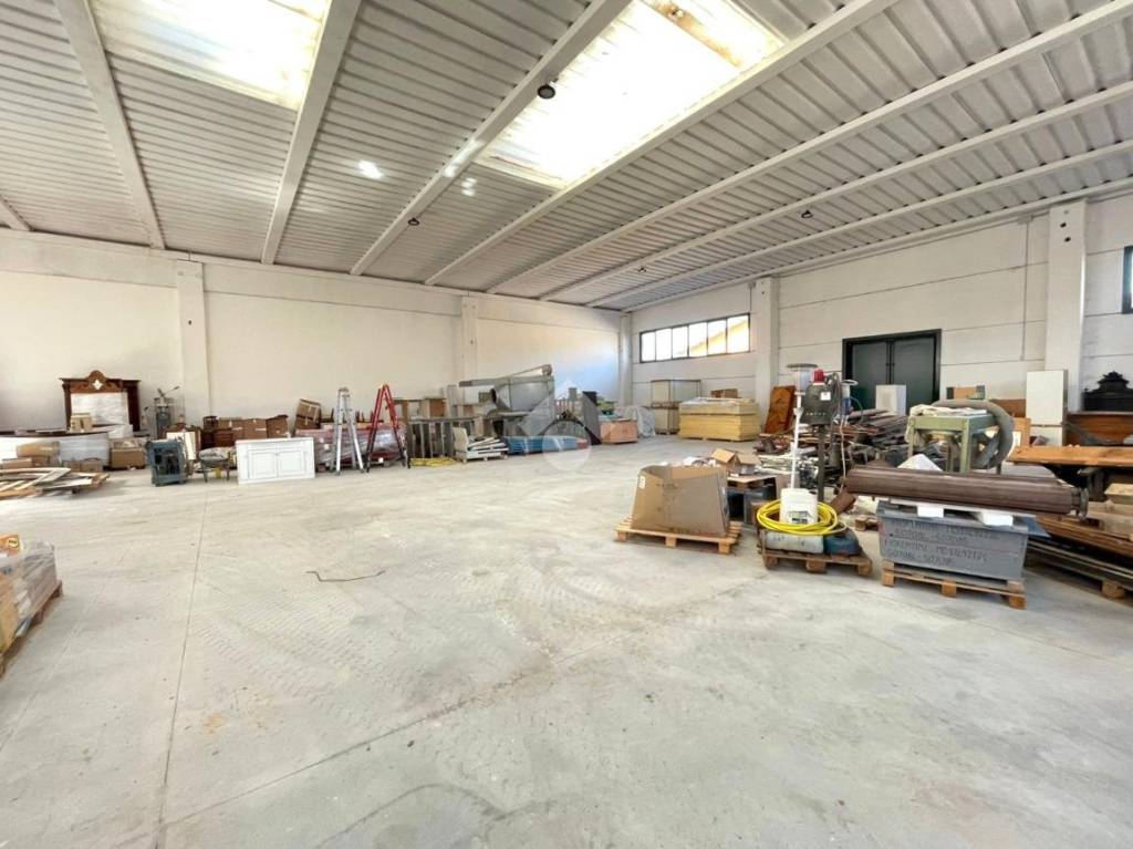 immagine annuncio 10 di 12