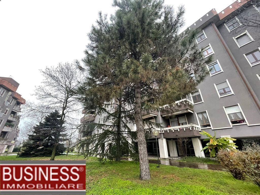 immagine annuncio 1 di 13