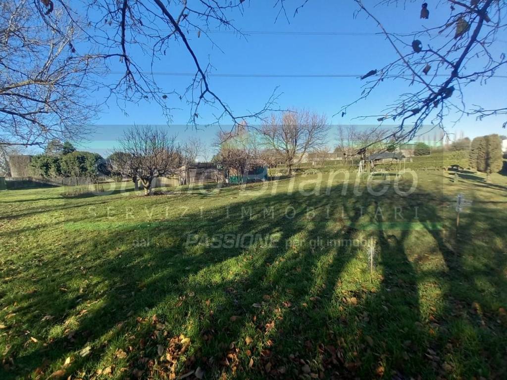 immagine annuncio 2 di 9