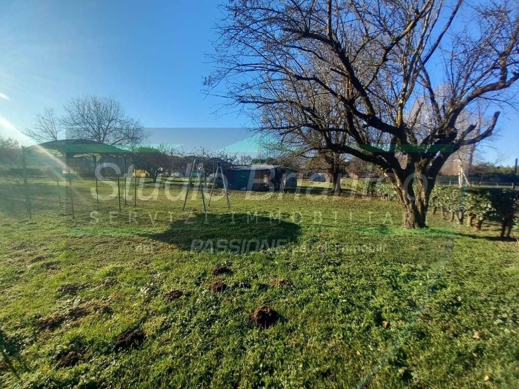 immagine annuncio 3 di 9