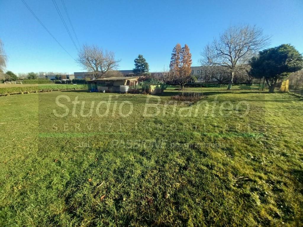 immagine annuncio 6 di 9