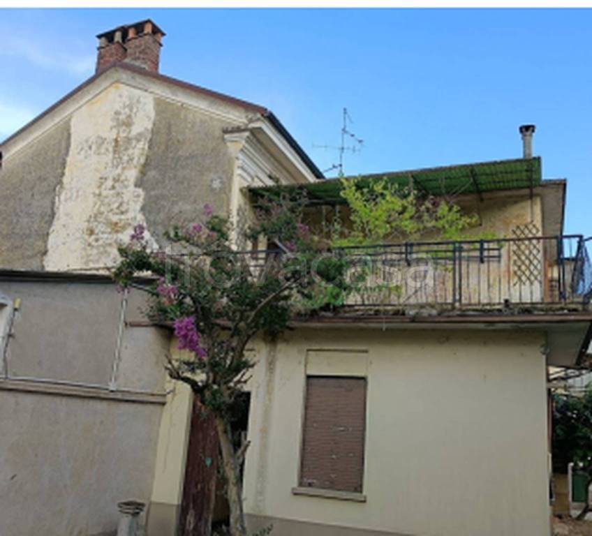 immagine annuncio 2 di 11