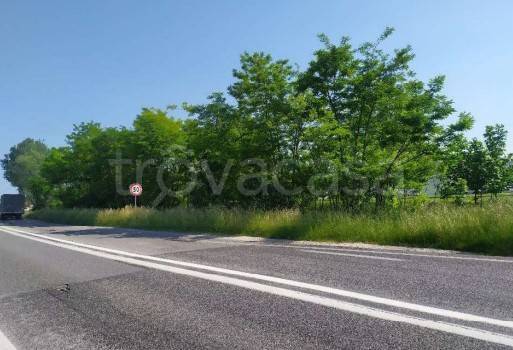 immagine annuncio 1 di 7