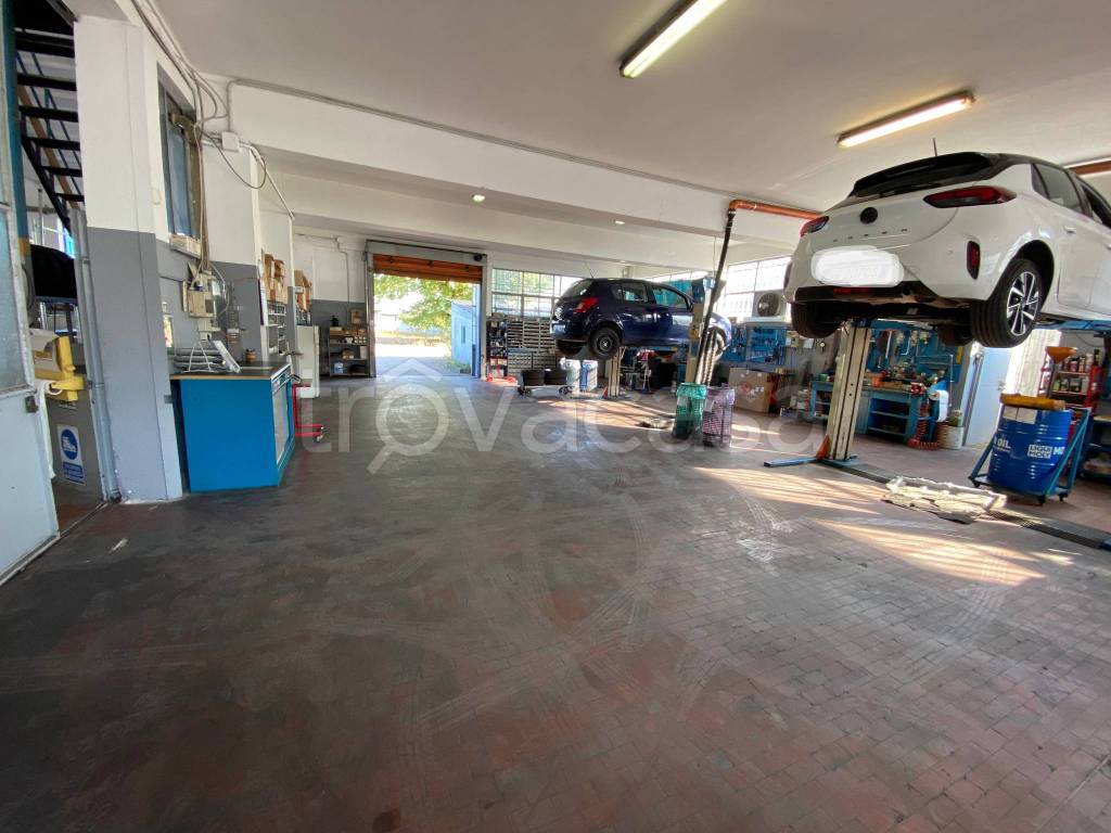 immagine annuncio 3 di 15