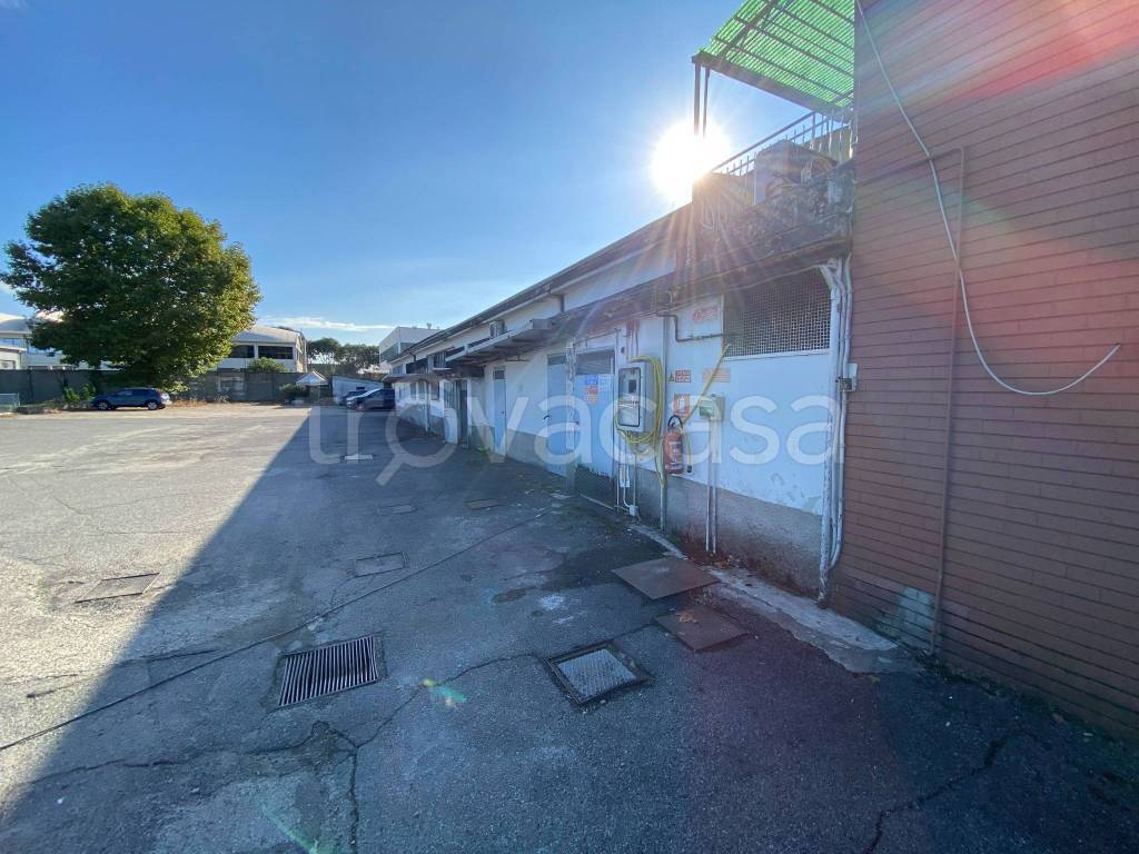 immagine annuncio 11 di 15