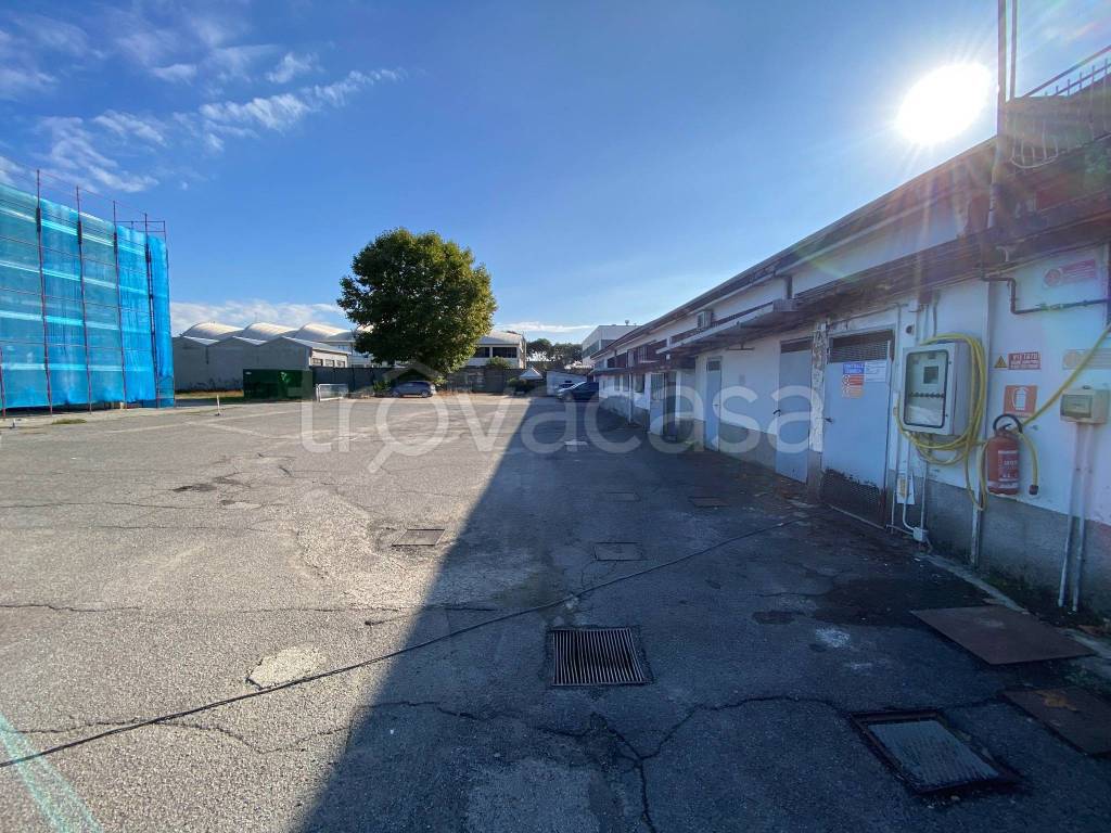 immagine annuncio 12 di 15