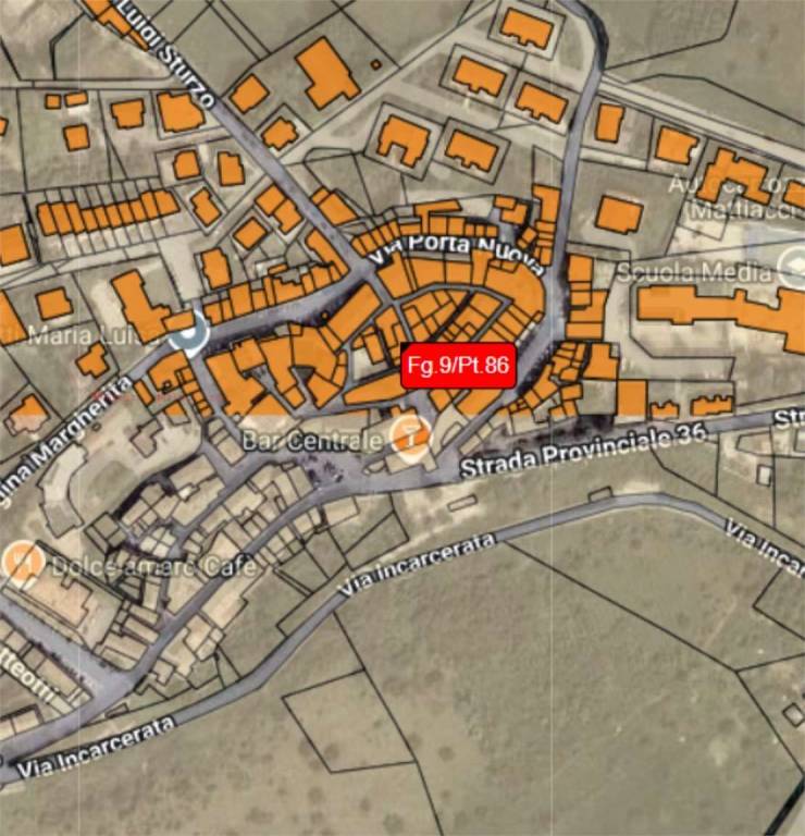 immagine annuncio 10 di 13