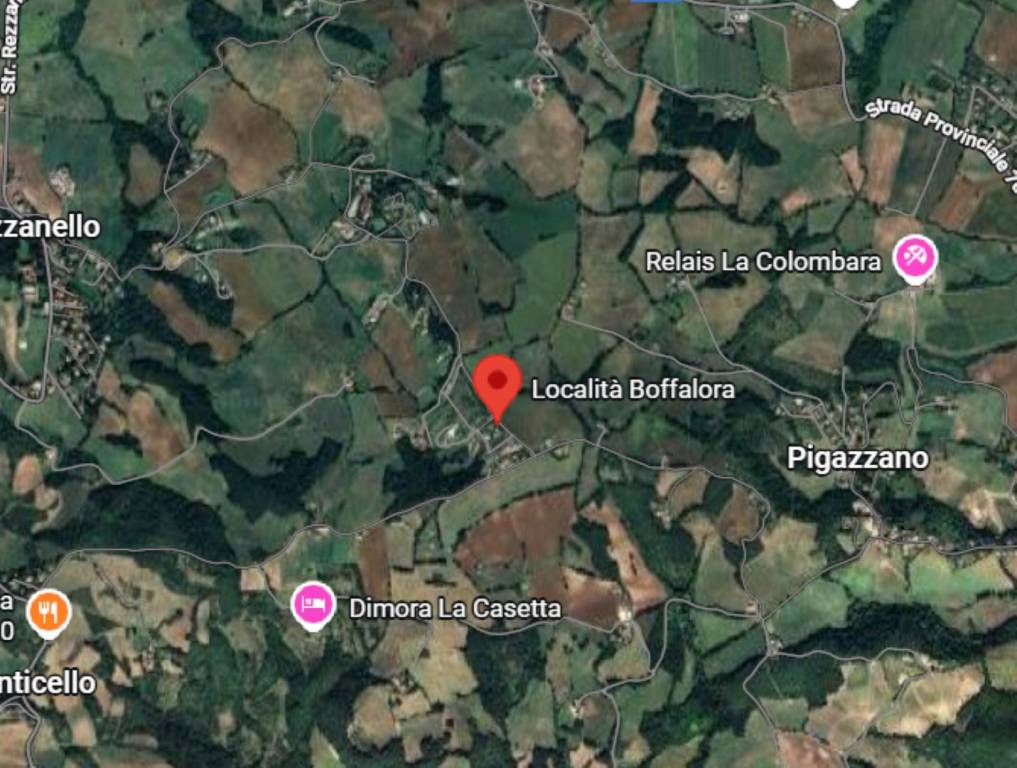 immagine annuncio 4 di 9