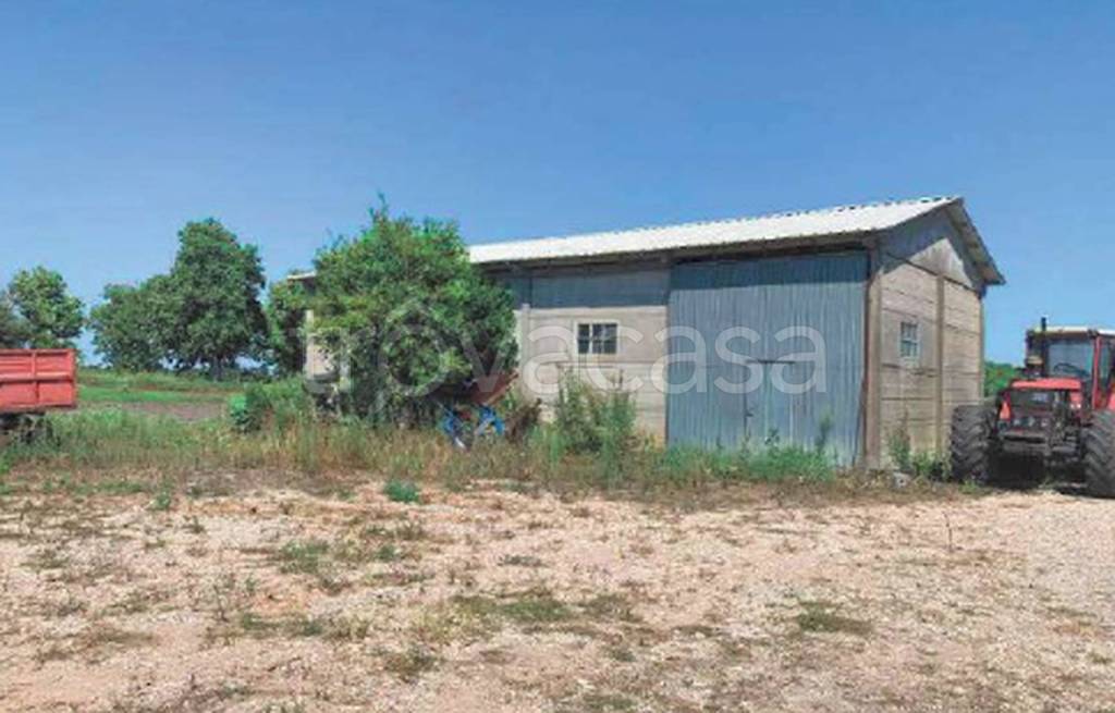 immagine annuncio 2 di 11