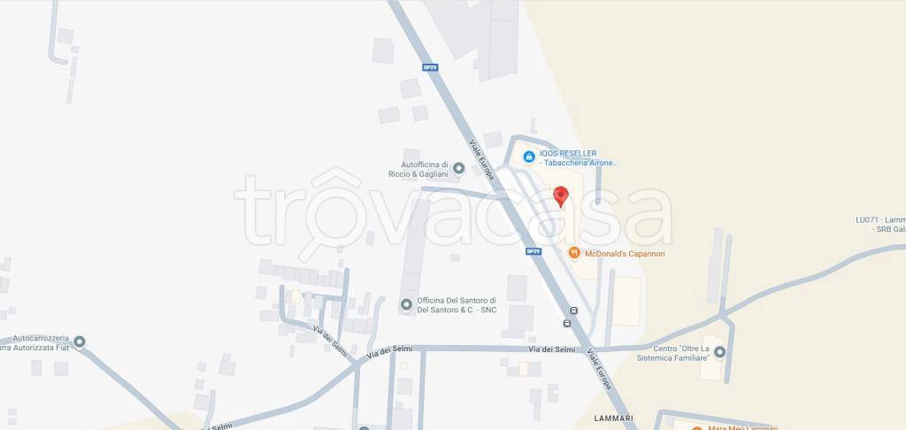 immagine annuncio 12 di 13