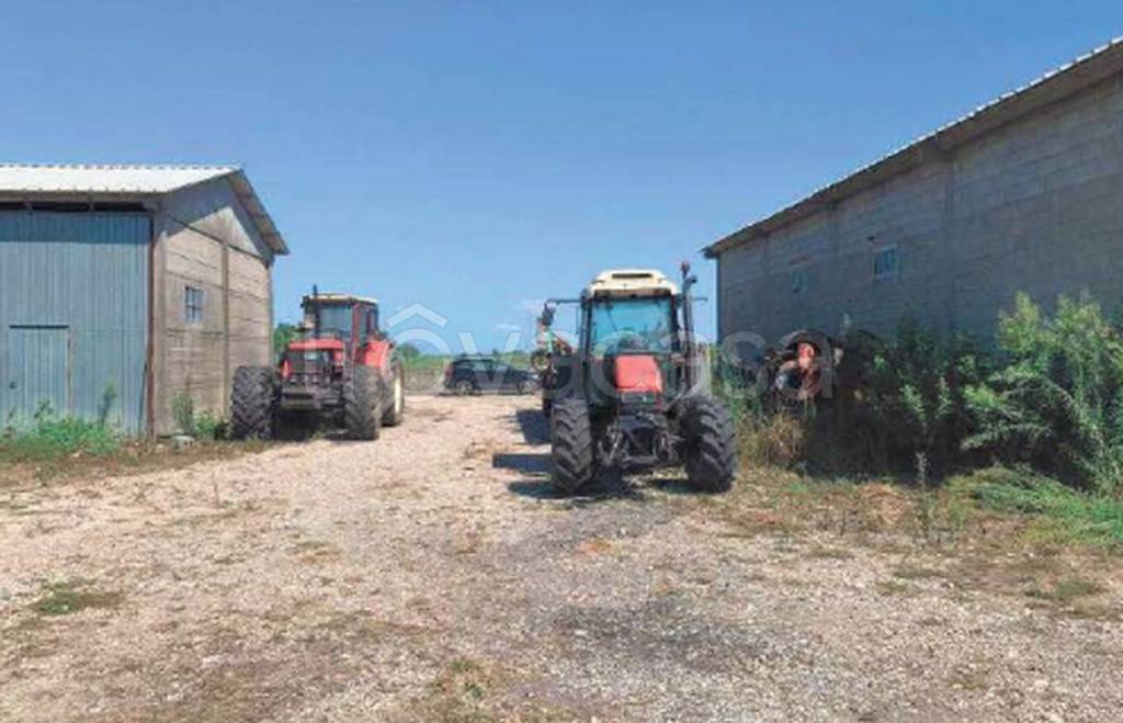 immagine annuncio 9 di 11