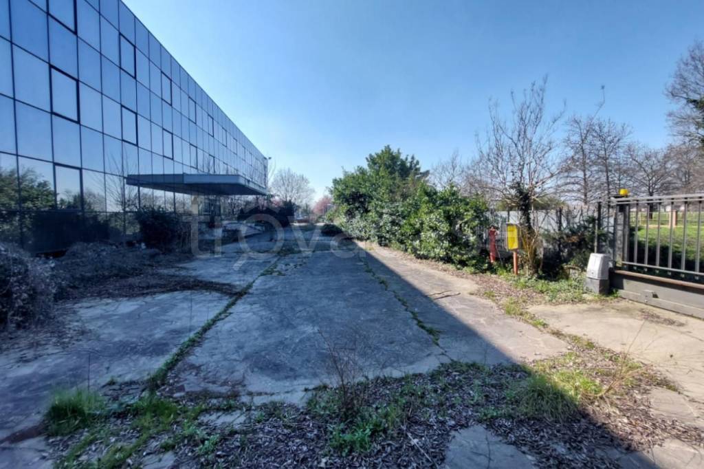 immagine annuncio 12 di 15