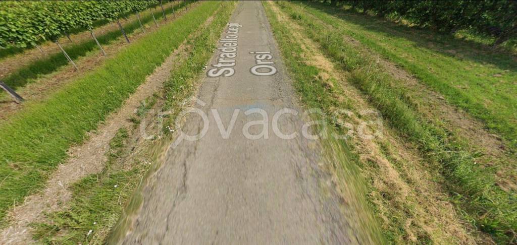 immagine annuncio 3 di 11