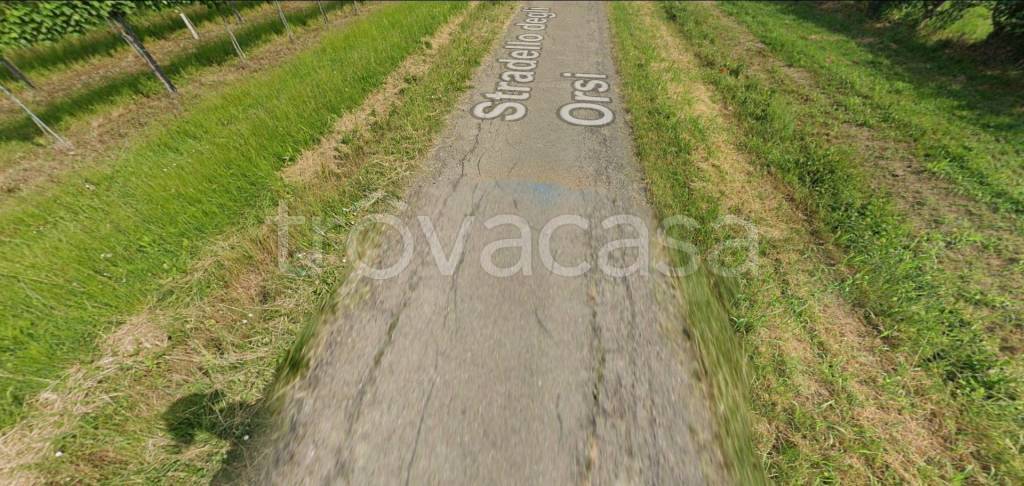 immagine annuncio 5 di 11