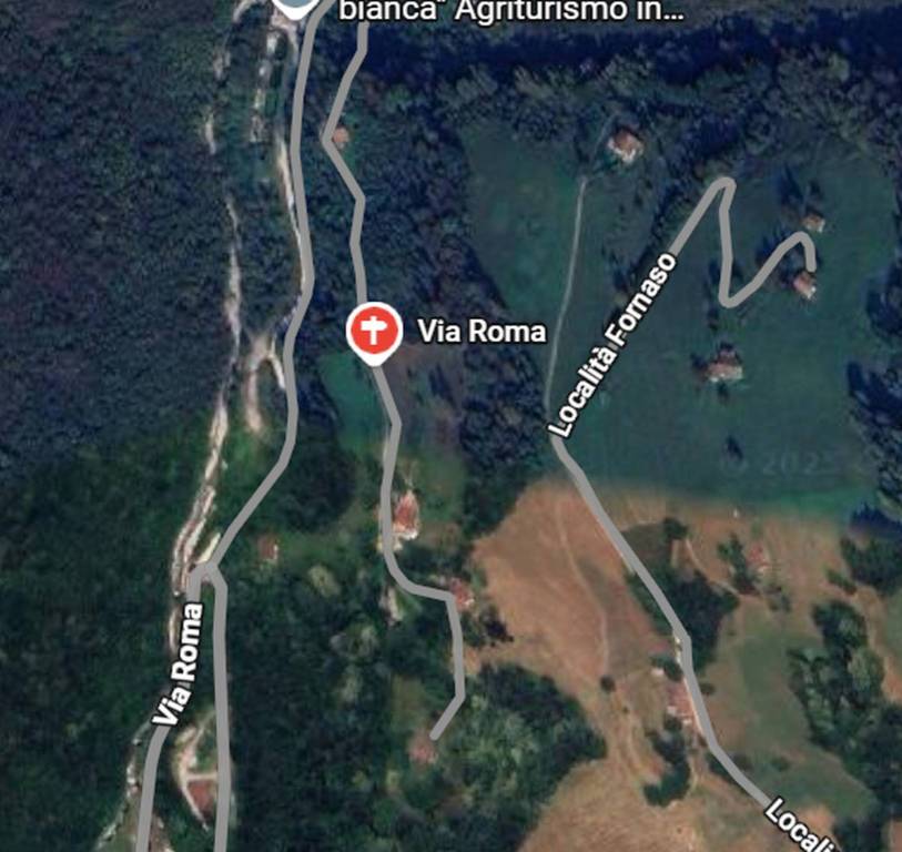 immagine annuncio 6 di 12