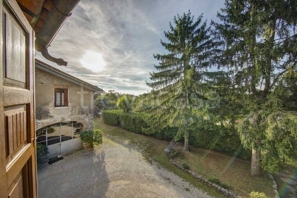 immagine annuncio 3 di 8