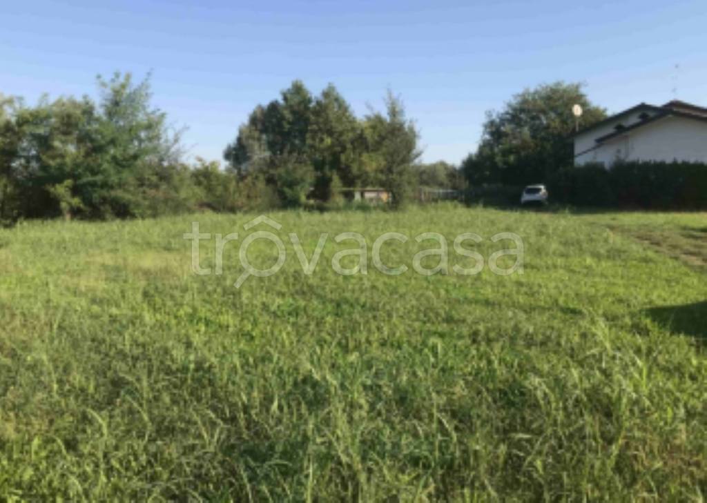 immagine annuncio 4 di 12