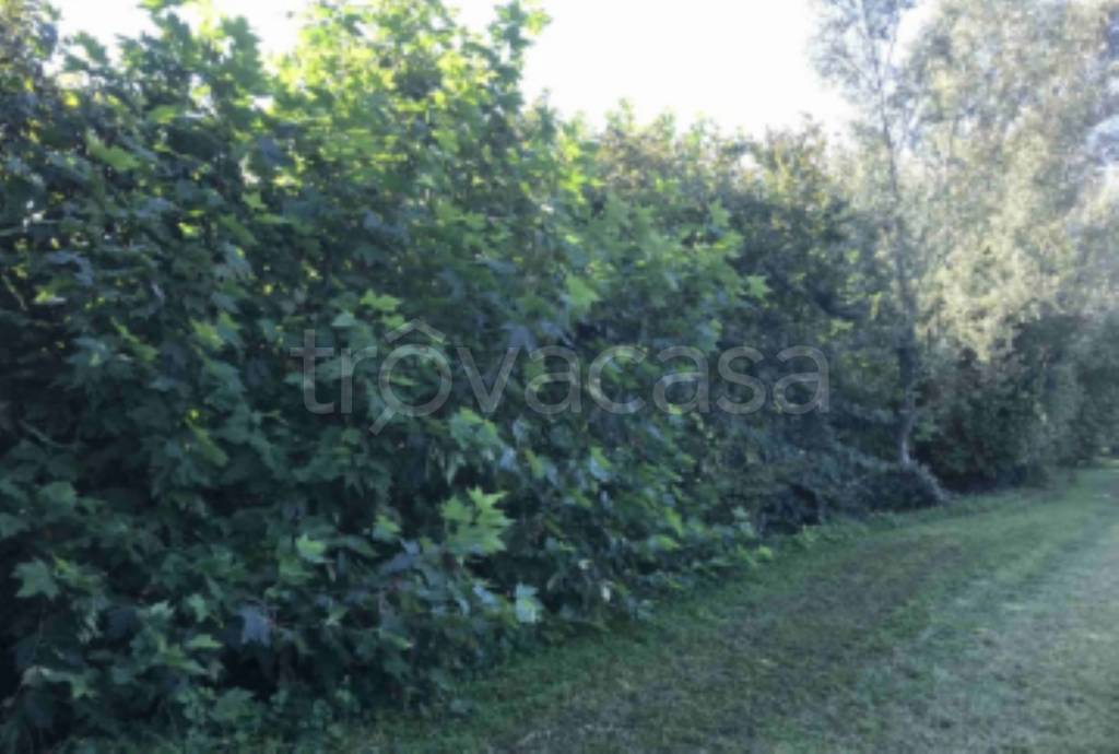 immagine annuncio 6 di 12