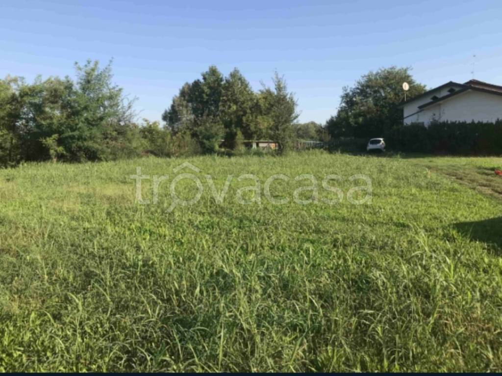 immagine annuncio 7 di 12